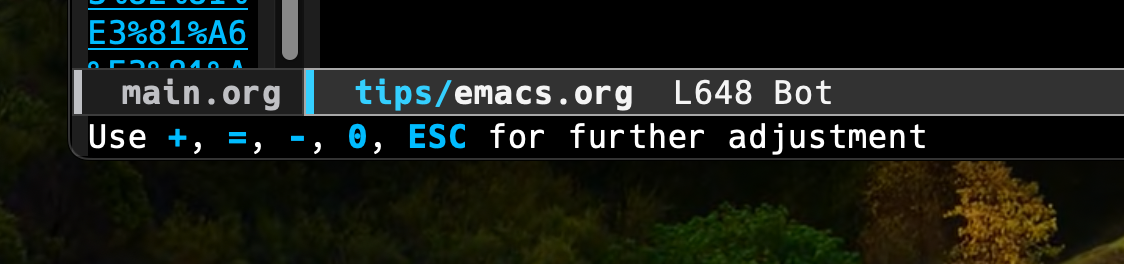 ./images/figure_emacs_text_scale_adjust_01.png